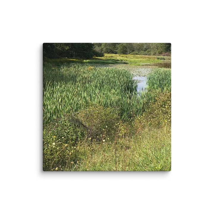 Marsh by Broadford Lake product image (6)