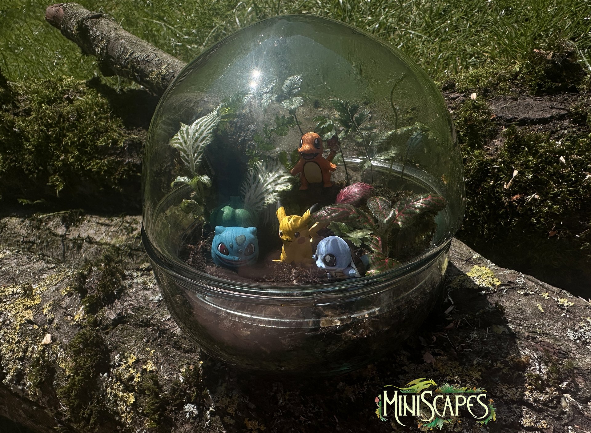 Mediumscape - Poke - The Original Starters product image (5)