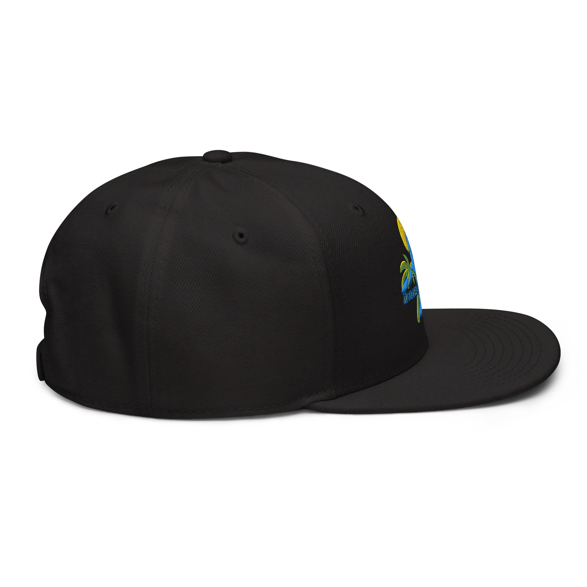 NPLT Classic Cap product image (6)