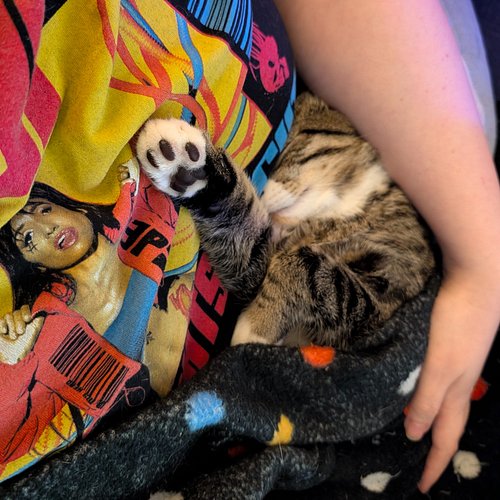 Cuddle time is over; game time is a GO! We are testing Rec-Opoly with the #RecStation Crew, and the sticker pack giveaway is ...