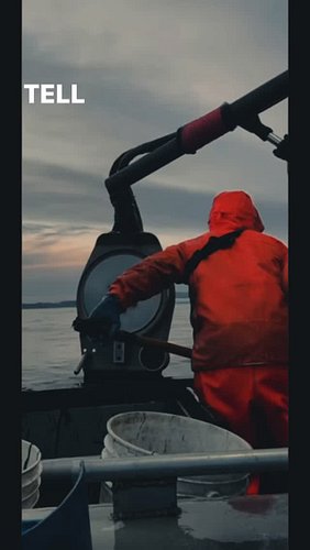Jamming through gear🦀🦀#fishing #southerncrossfishing #crab #seafood #boating