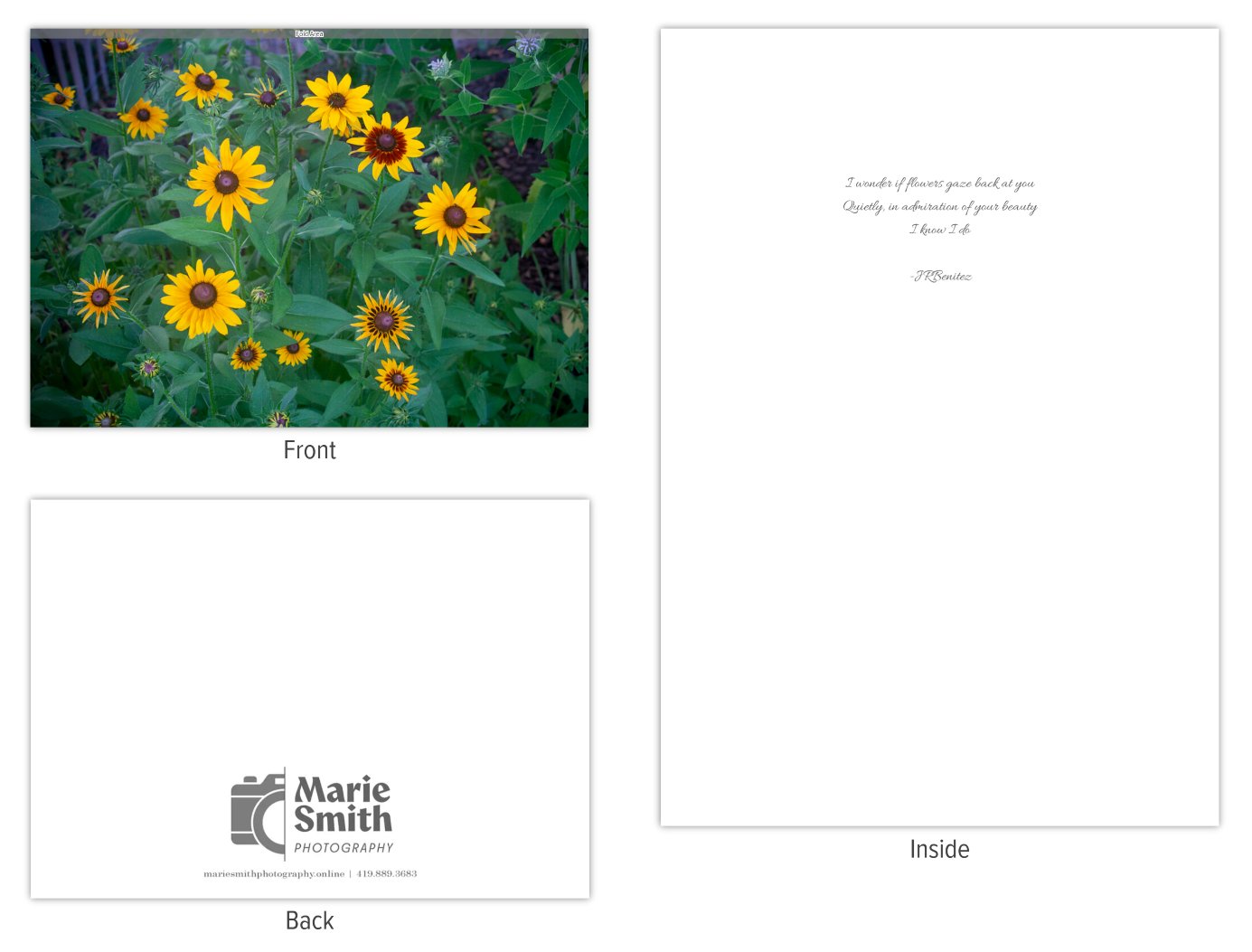 Sunshine Daisy Greeting Card - Set of 5 product image (1)