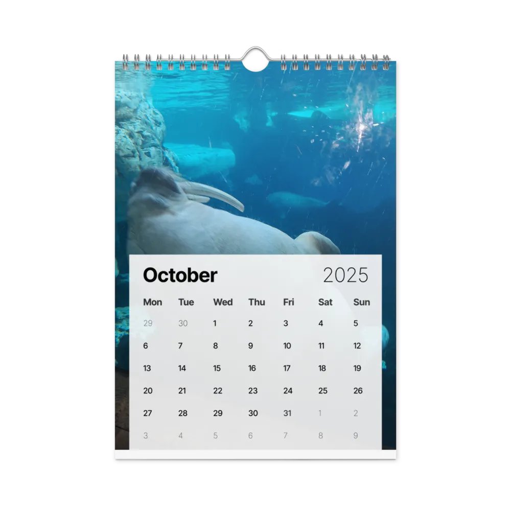monthly year product image (12)