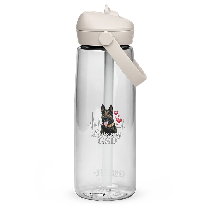 GSD water bottle - silver product image (2)