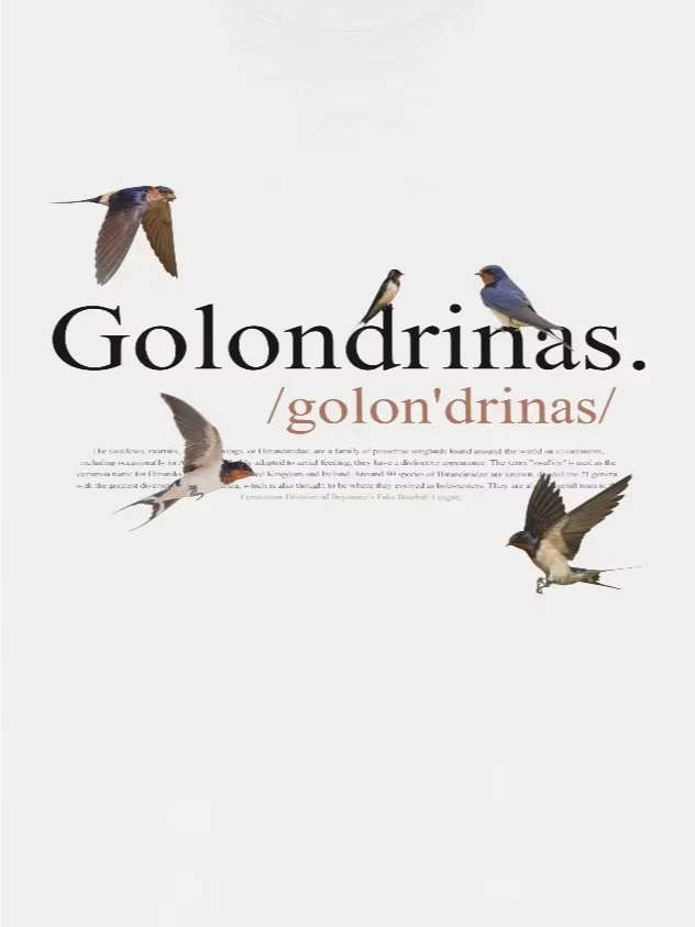 Golondrinas de Valencia Tee product image (2)