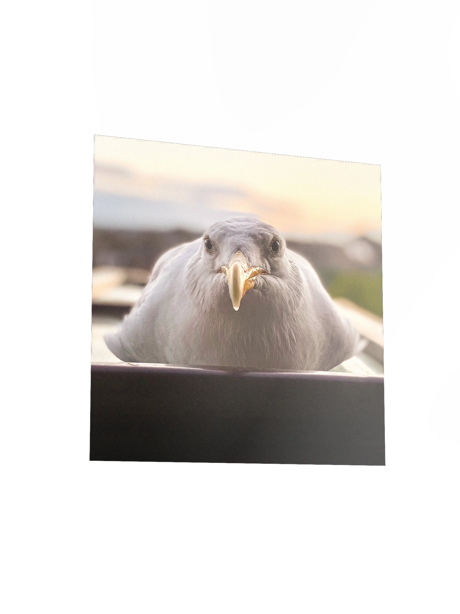 The Gorgeous Boy product image (3)