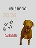 Belle 2026 Calendar A 8.5 x 11 (Download)