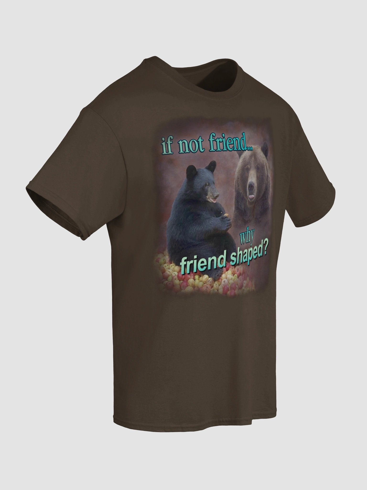 If Not Friend, Why Friend Shaped Bear T-shirt product image (6)