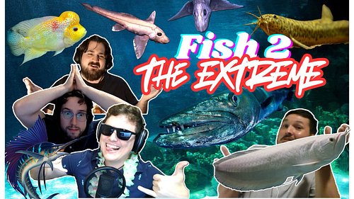 You’ll fall for this episode hook, line, and sinker🪝
Even more fish trivia, out now! 🎣🐟🐠
(everyone say thank you Steven)