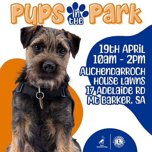✨ Get excited! ✨
6 days to go! I’ll be setting up a stall at Pups in the Park and I’d love to see you there!

🕙 WHEN: 10am – ...