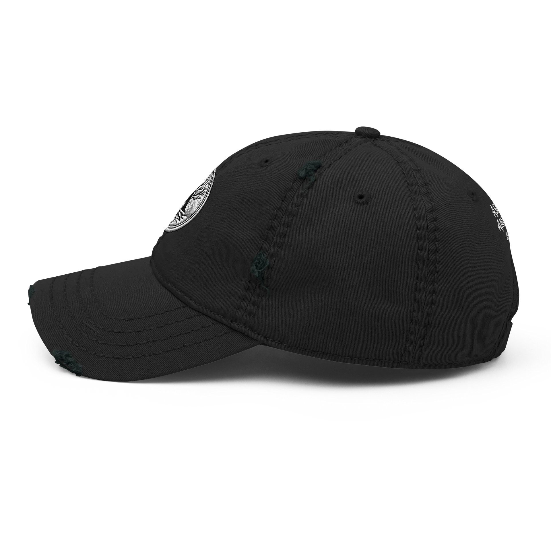 AshTree Anomaly Distressed Hat product image (4)