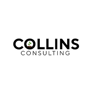 Collins Consulting