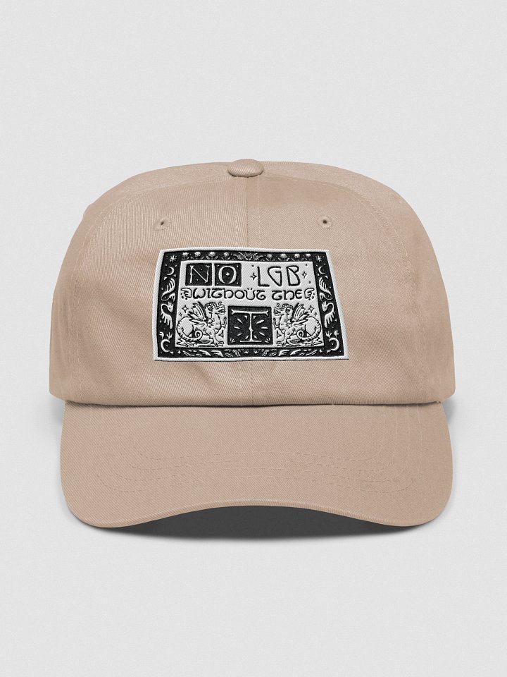no LGB without the T product image (6)