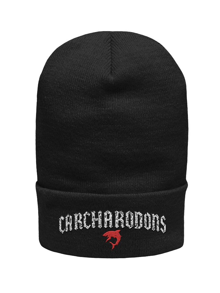 RED WAKE TOUR DELUXE EMBROIDERED BEANIE product image (1)