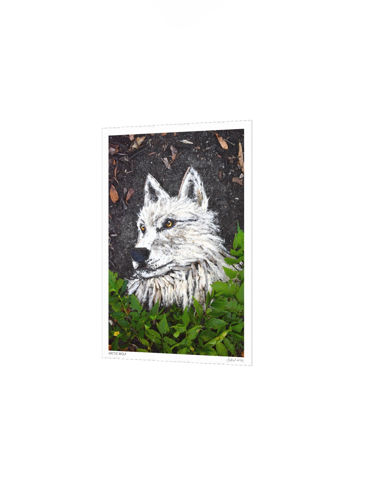 ARCTIC WOLF | Fine Art Print product image (3)