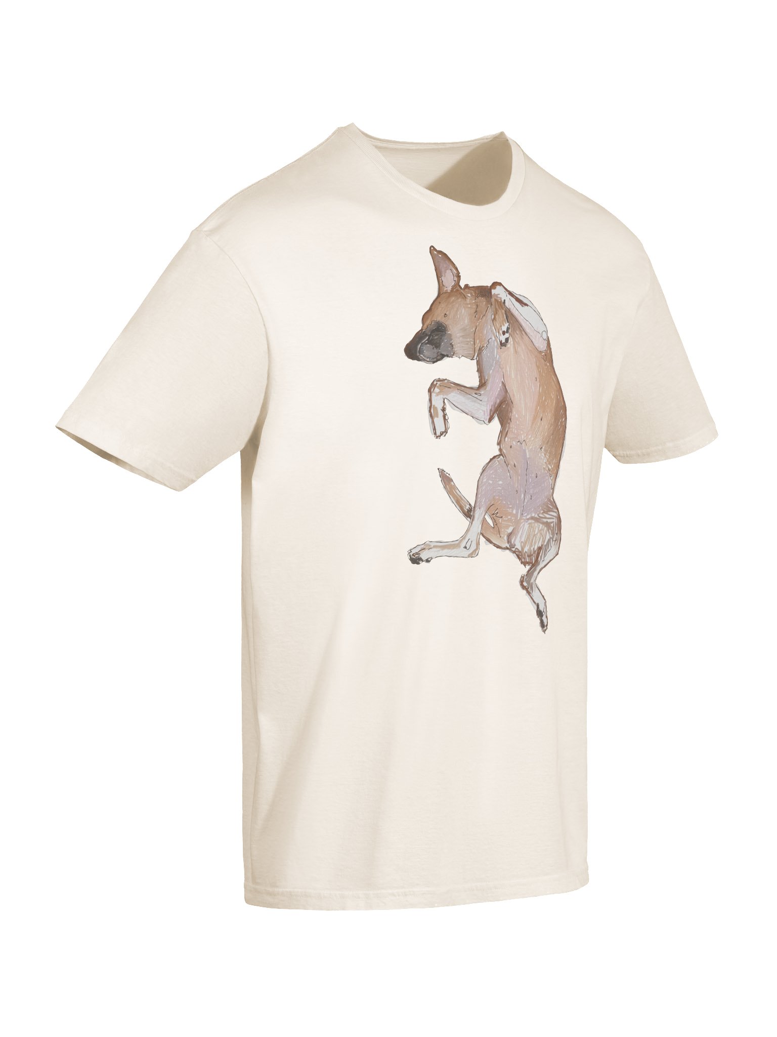 Mexican Yellow Dog Relaxing Gildan 64000 product image (35)