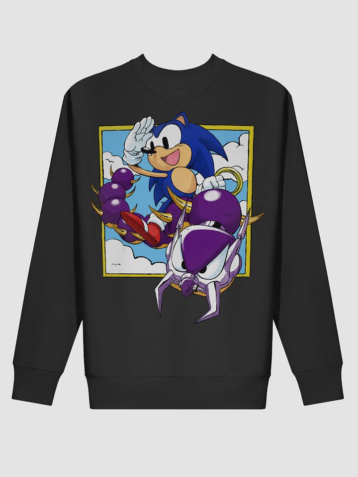 The Hedgehog King product image (8)