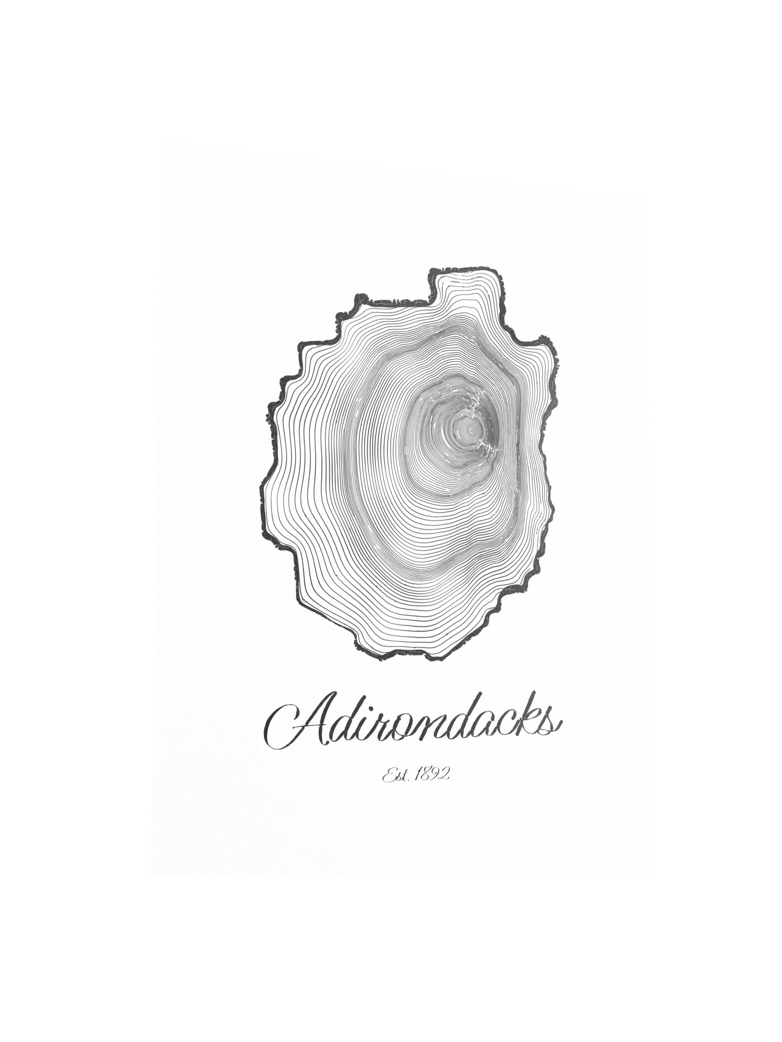 Adirondack Park Tree Ring Poster product image (3)