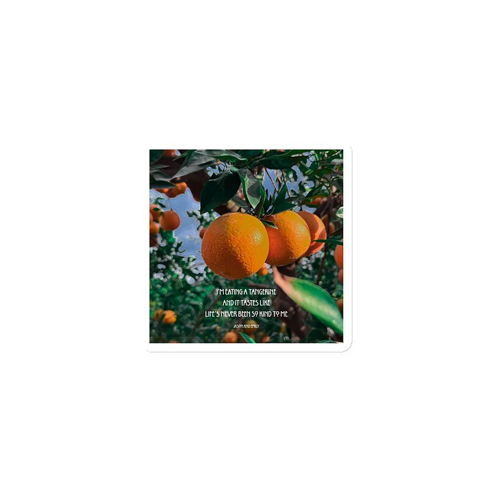 Life's never been so kind to me- Tangerine Magnet product image (1)