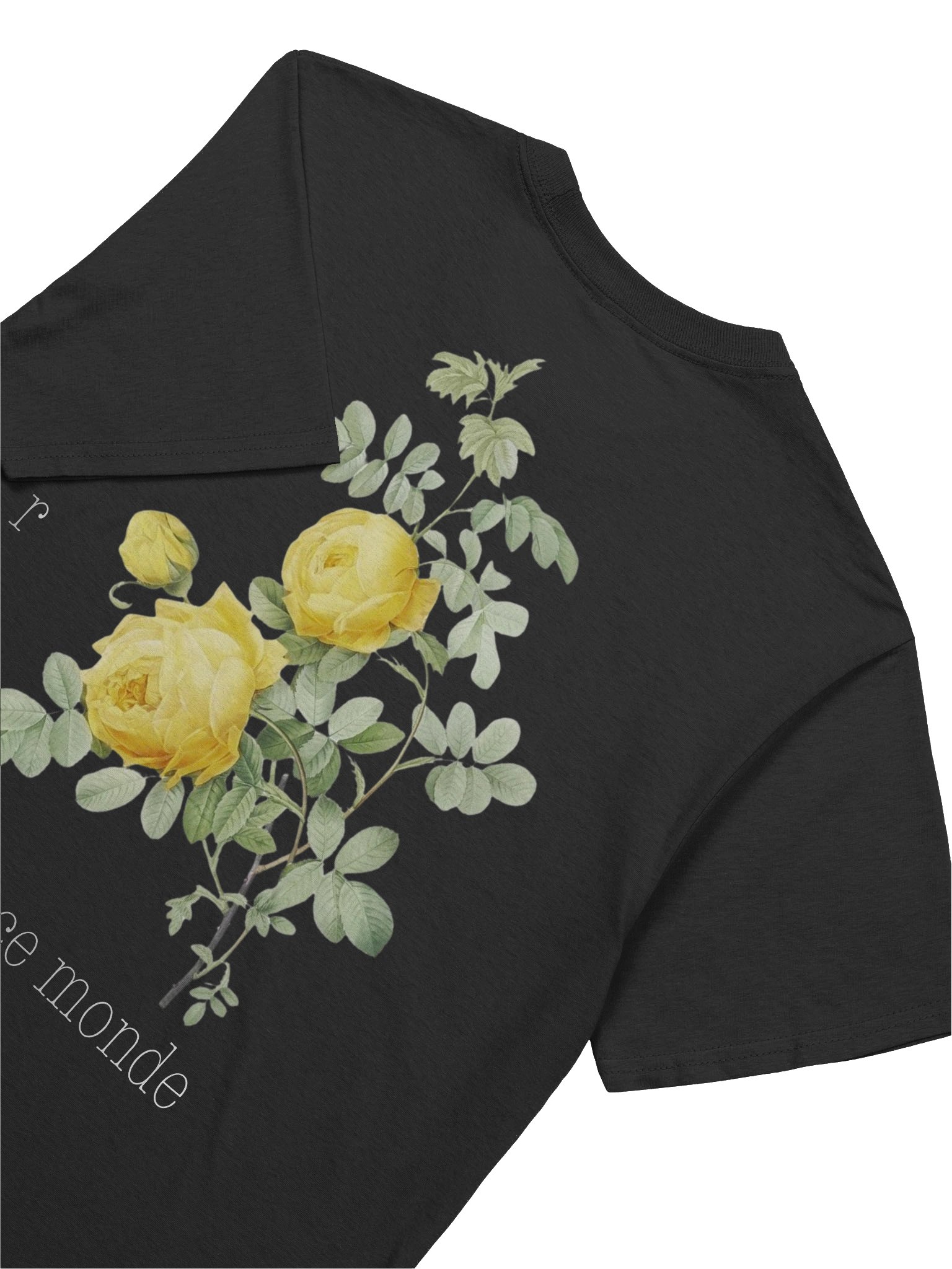 Lost Shirt (French Edition) product image (8)
