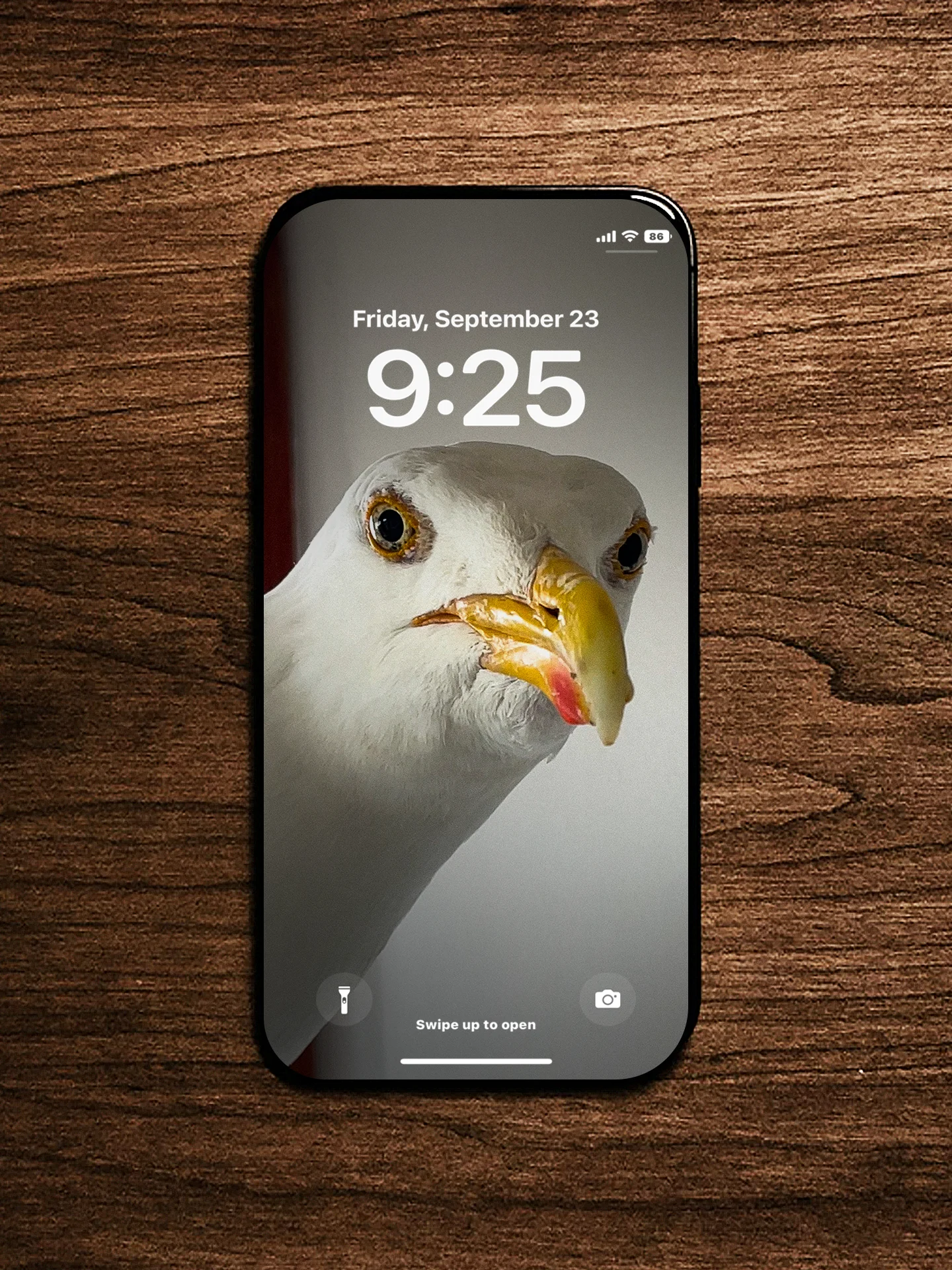 Steven Wallpaper Pack 2 product image (5)
