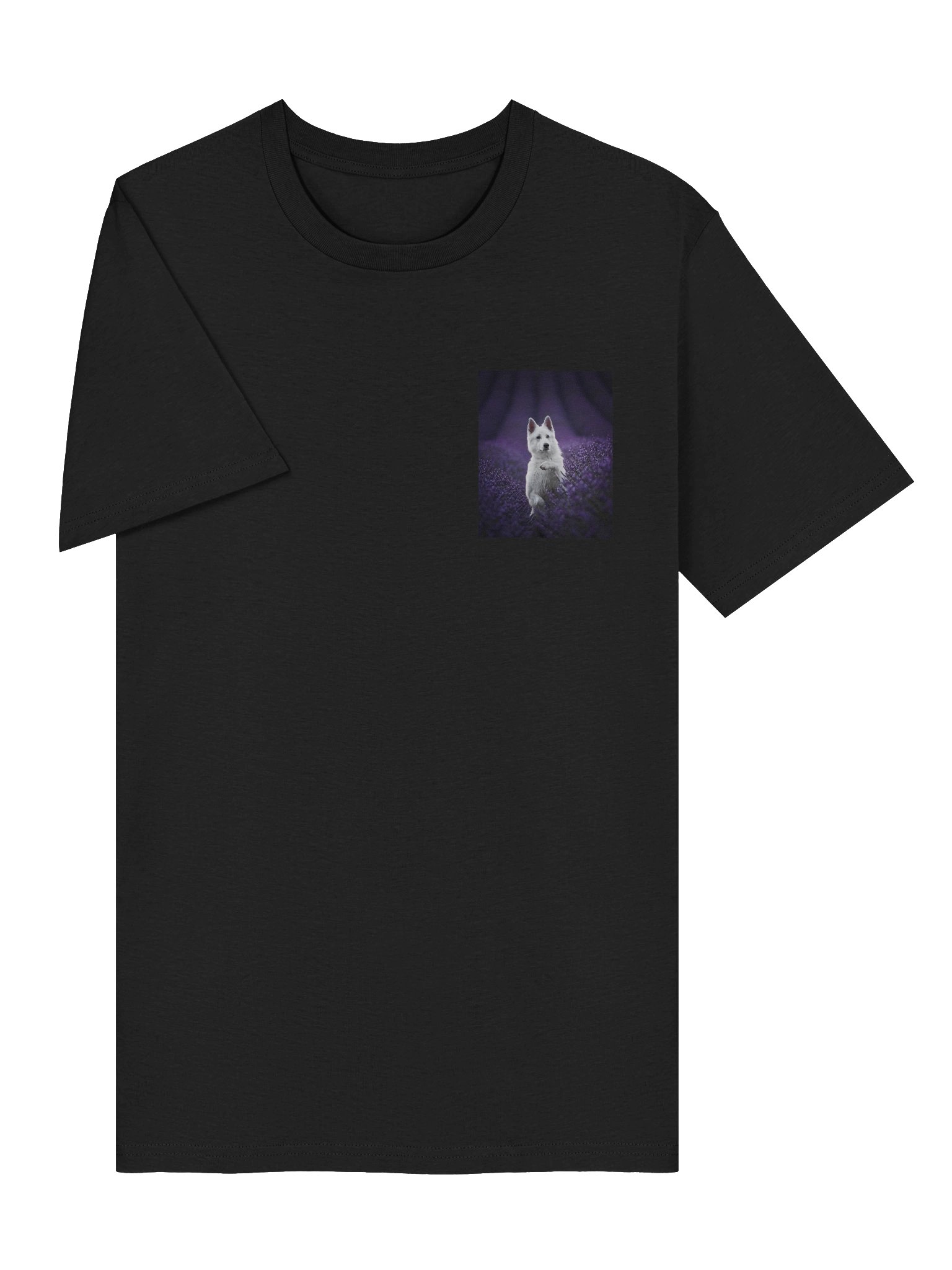 Rasta in the lavender fields product image (5)
