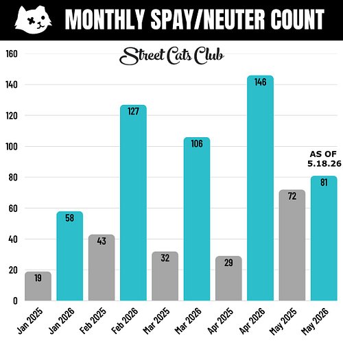 2025 vs. 2026

Last year, the Street Cats Club spayed/neutered 487 cats total.

This year?
We’ve already spayed/neutered 518 ...