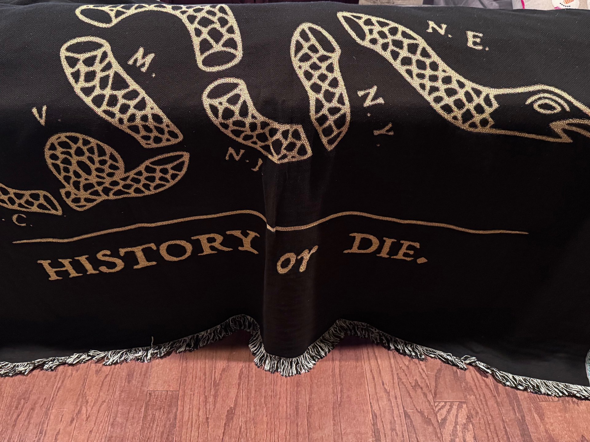 History or Die Picnic Blanket product image (7)