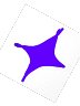 tHE STAR.