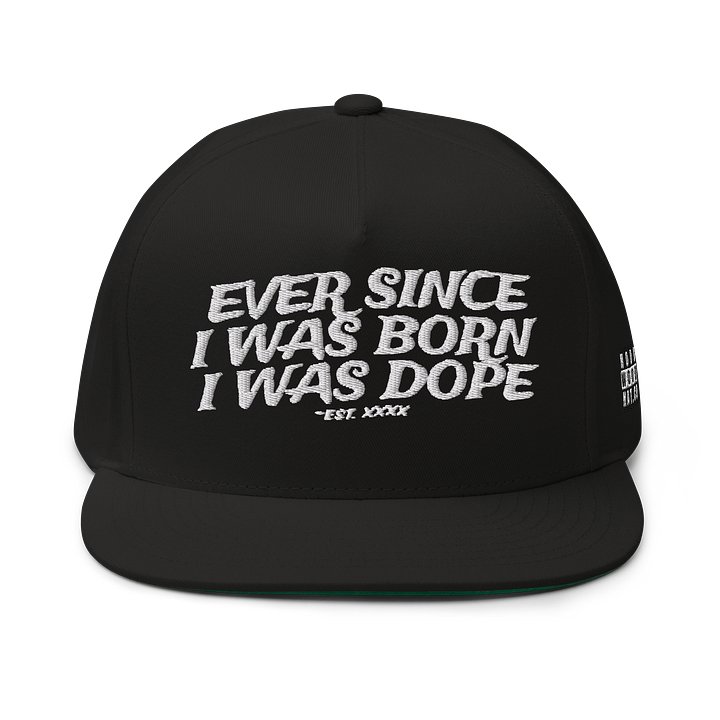 EVER SINCE - Embroidered SnapBack Flatbill product image (1)