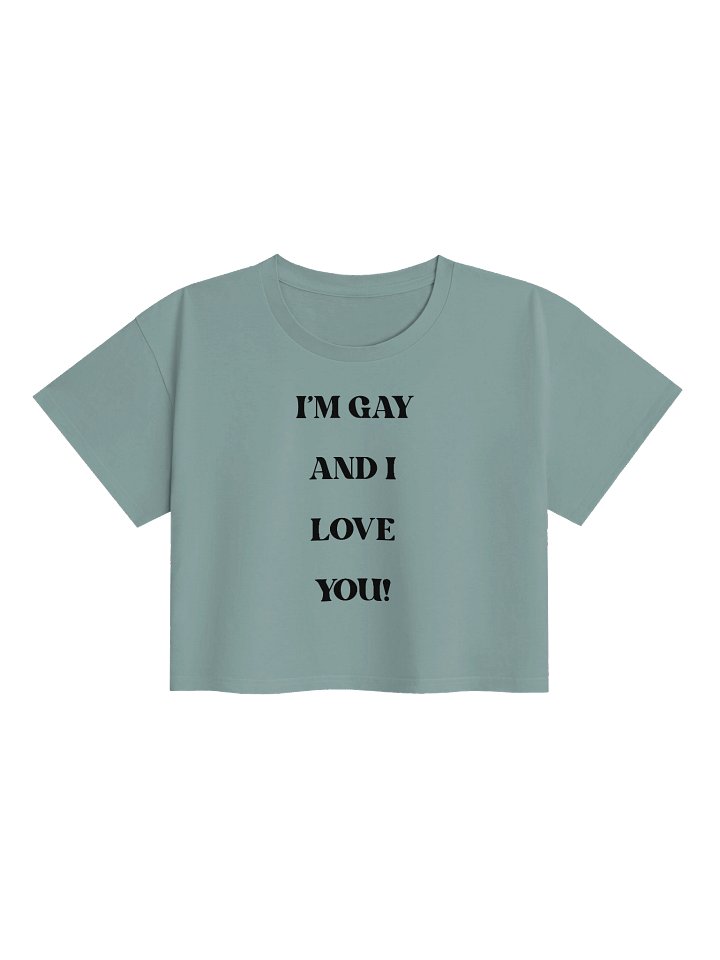 I'm Gay and I Love You Retro Pride Crop Top product image (5)