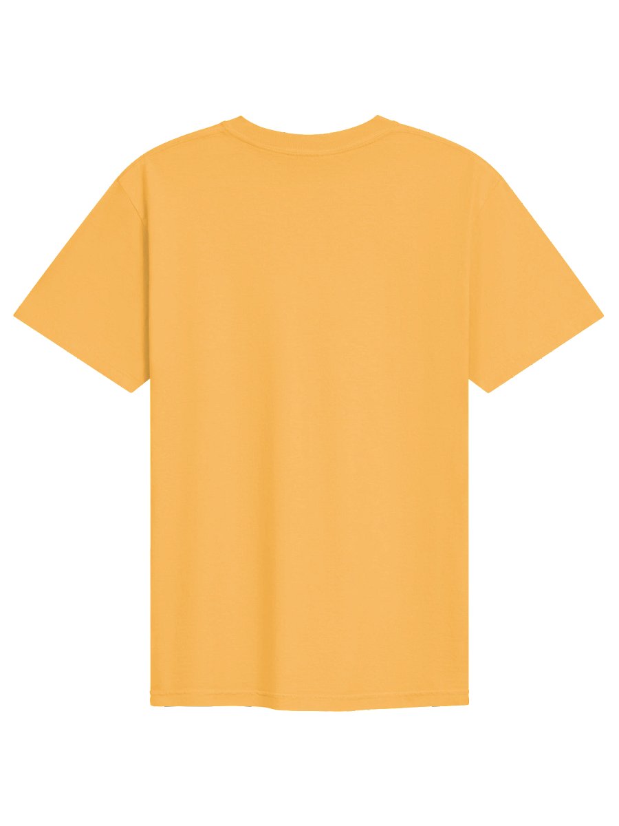 AGC RECRUIT TEE YELLOW product image (2)