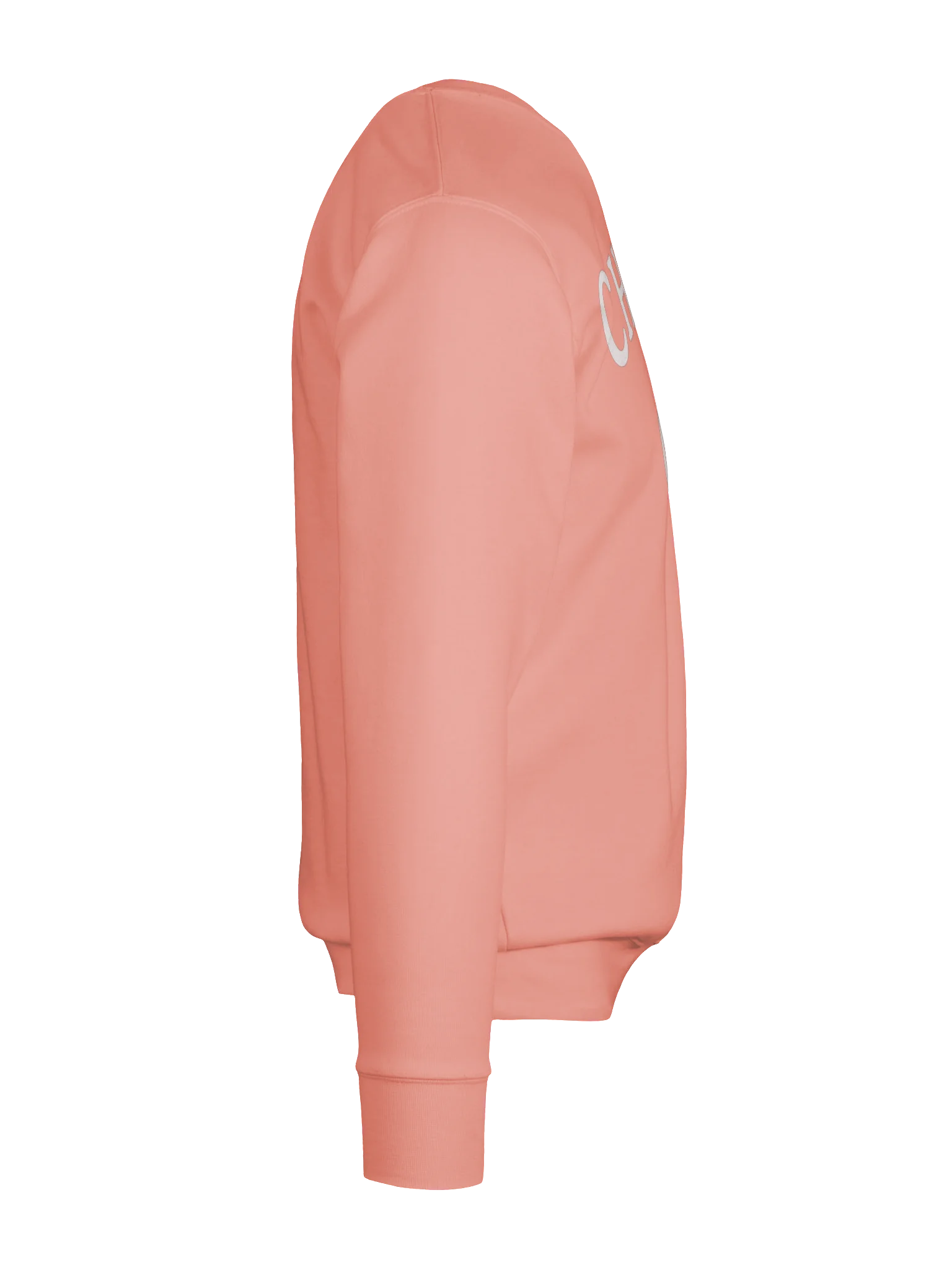Chatty Pumpkin Premium Sweatshirt | Cozy Chatty Fall Collection product image (10)