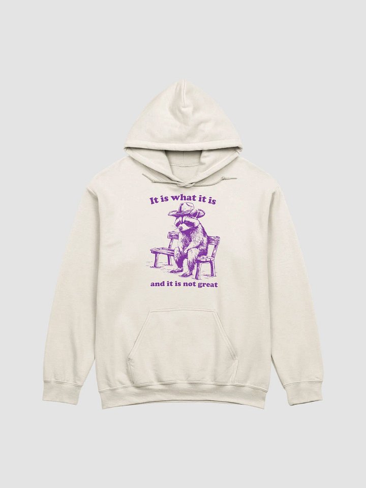 It is what it is Hoodie product image (1)