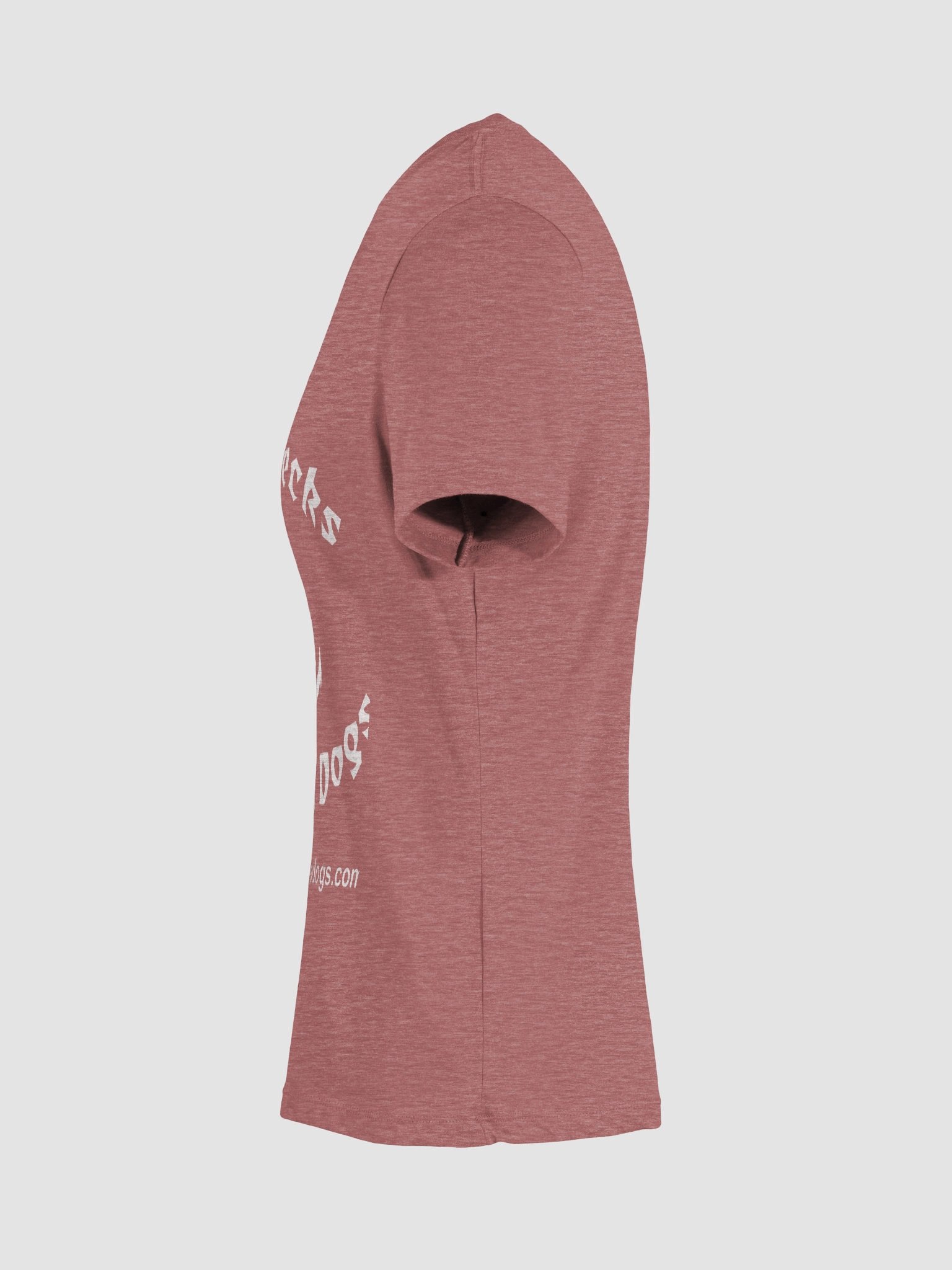Women's V-neck Shipwrecks and Sea Dogs Logo T-Shirt product image (47)