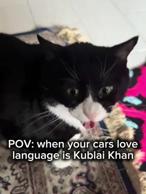 Burzik... A part of the merch sales profit goes to support local stray cats and underground bands, thank you! #catsandmetal #kublaikhan #kublaikhantx #matthoneycutt #metalmemes