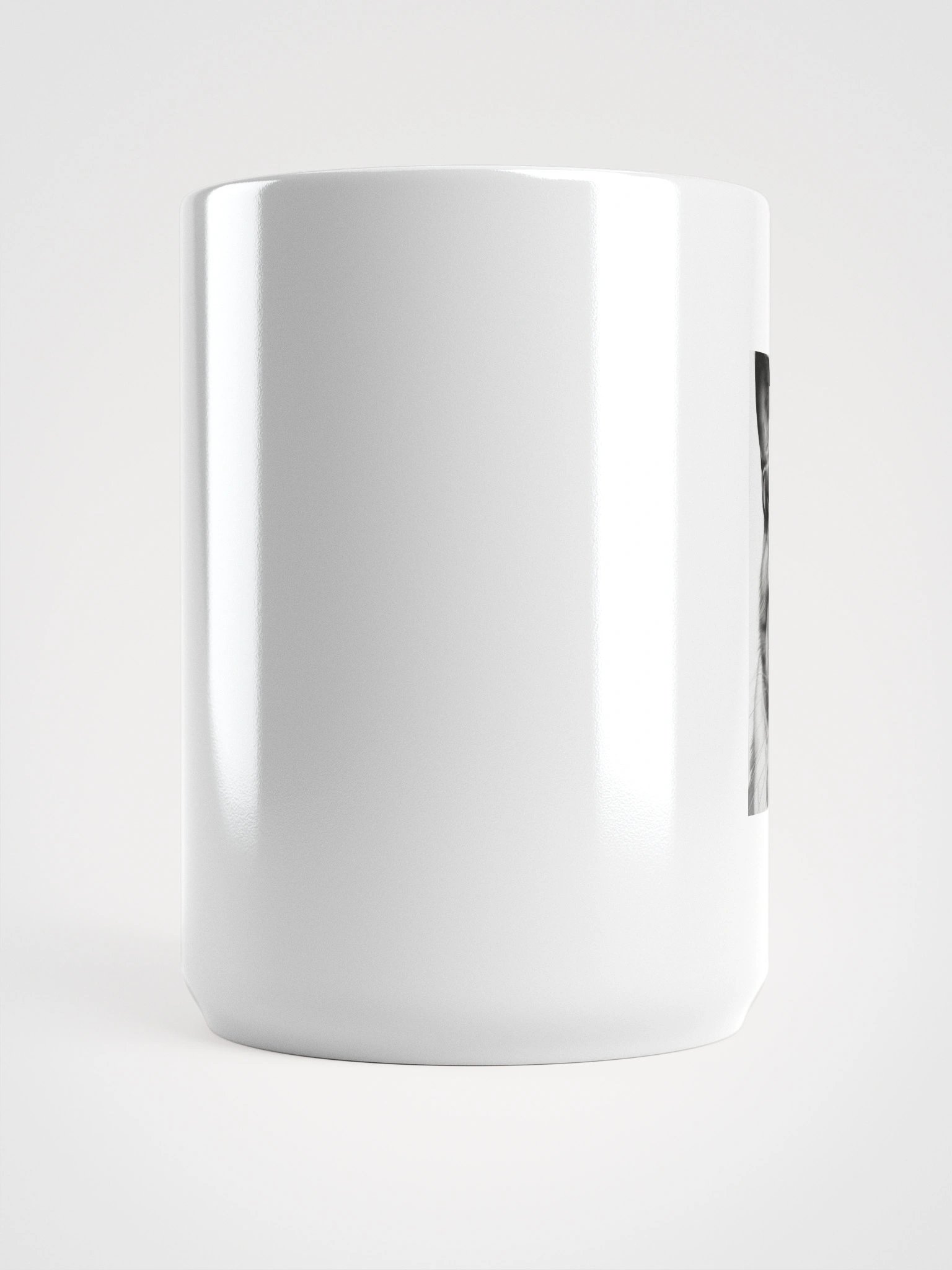 Cat product image (5)