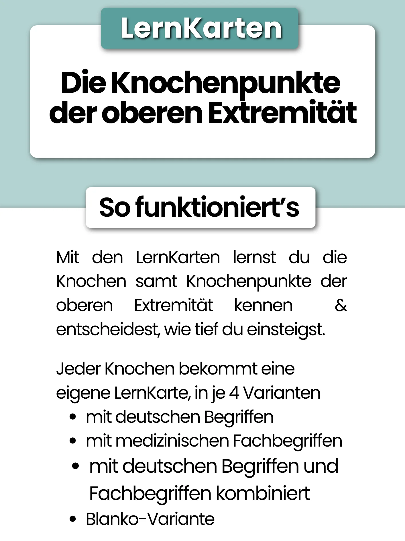 LernKarten 'Die Knochenpunkte der oberen Extremität' product image (3)