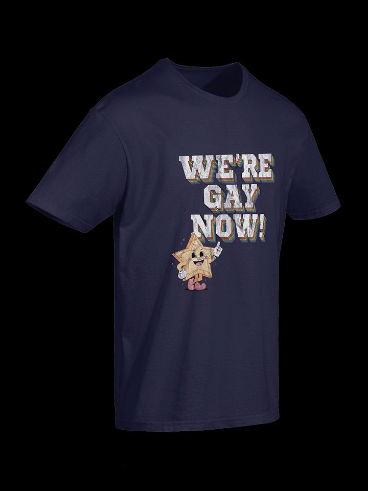 "WE'RE GAY NOW!" Vintage Supersoft Tee product image (2)