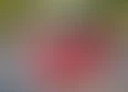 Blog's tag thumbnail