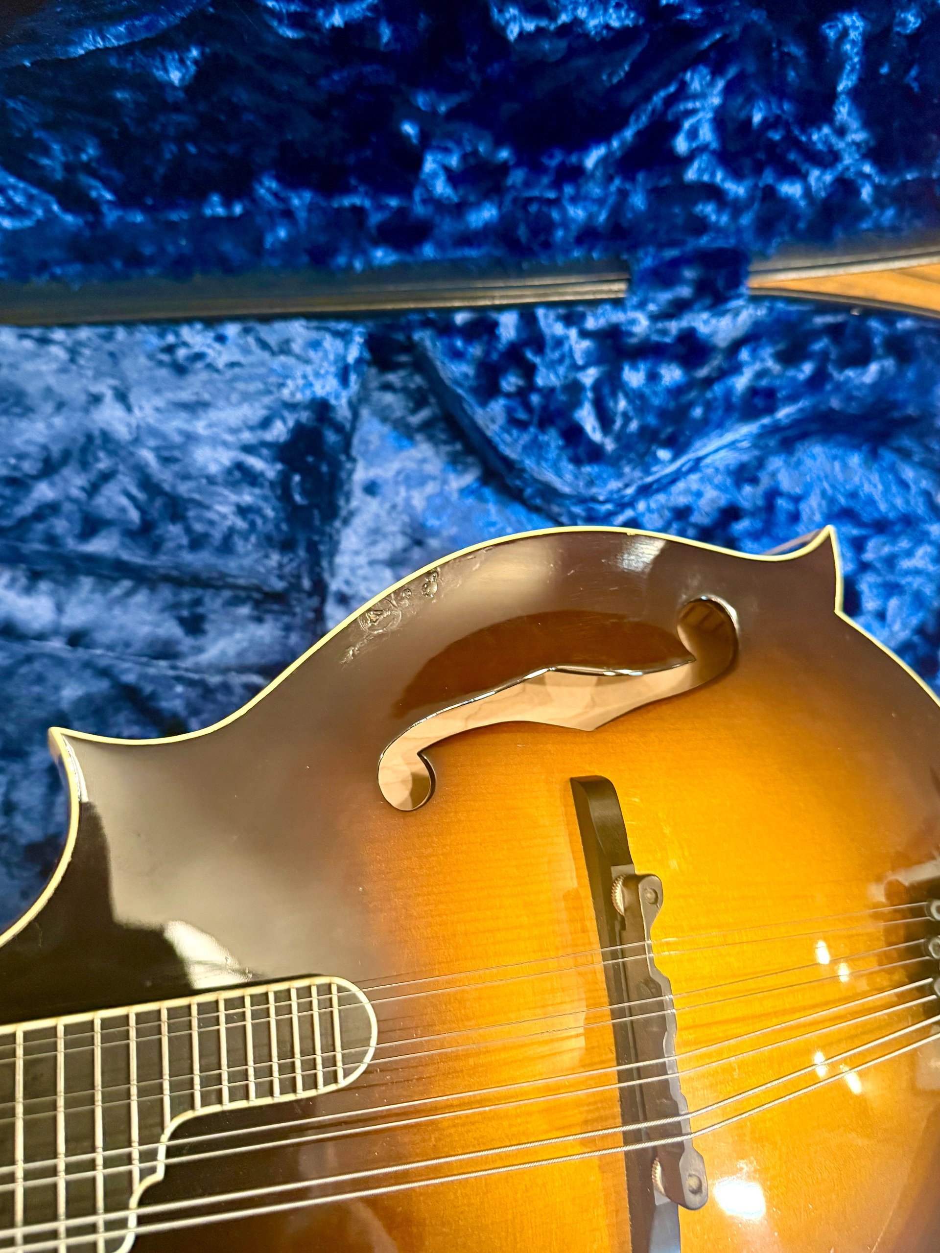Kentucky KM-1000 "VINTAGE SUNBURST" Master F-Style + HOFFEE CARBON FIBER HSC product image (8)