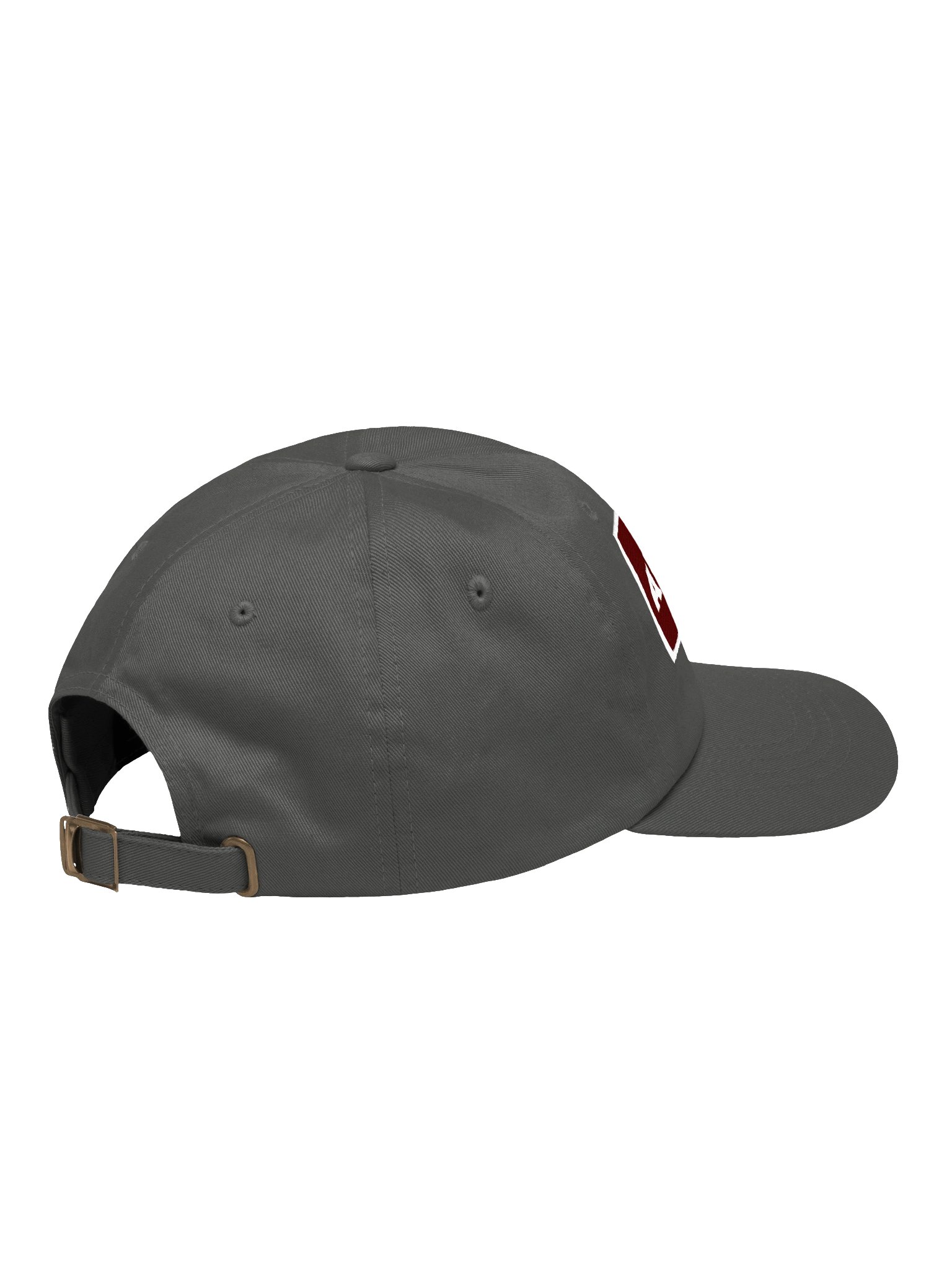 Anointed Embroidered Dad Hat (Maroon Patch) product image (17)