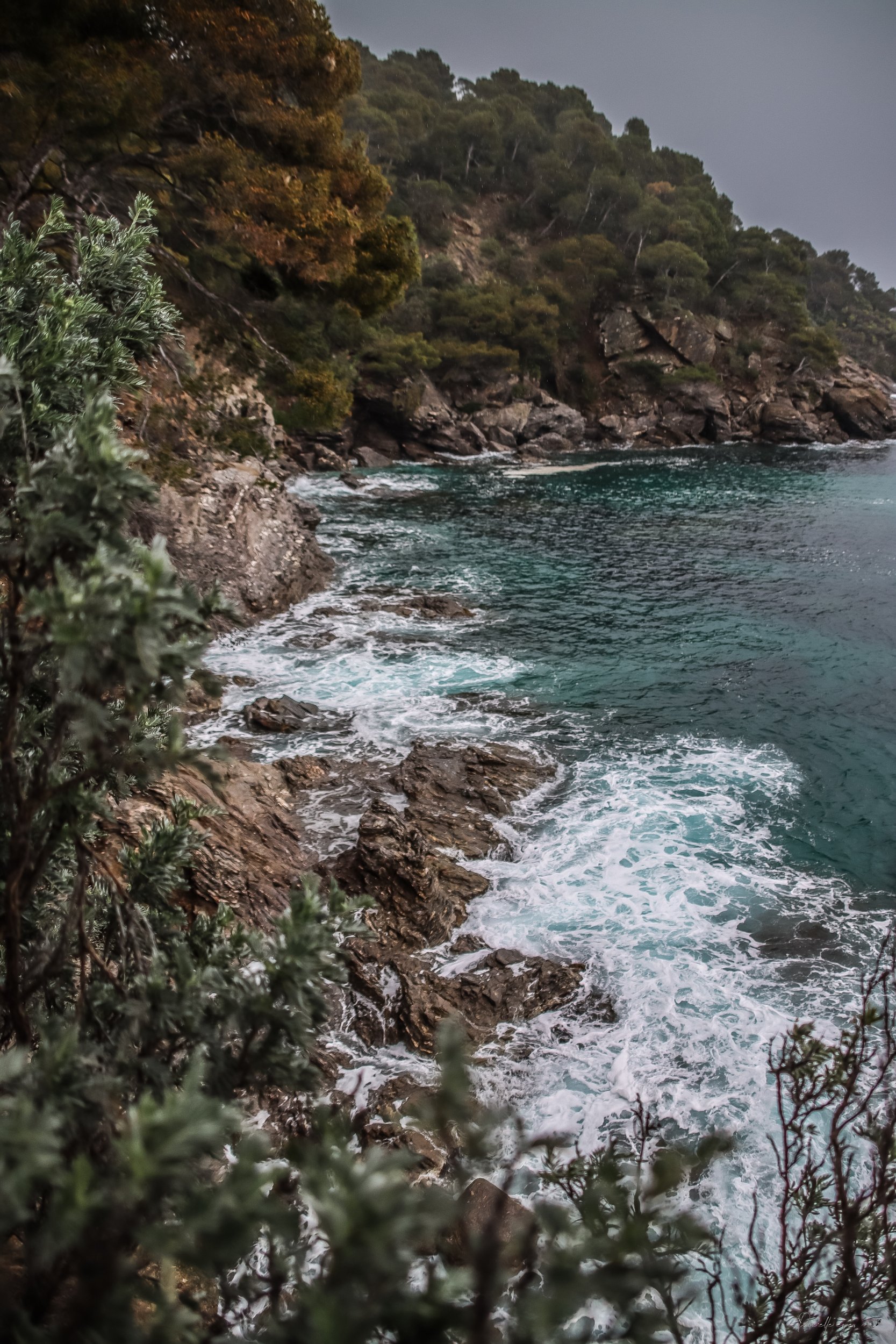 Fine Art - The Emerald Cove 🌊🍃 product image (1)