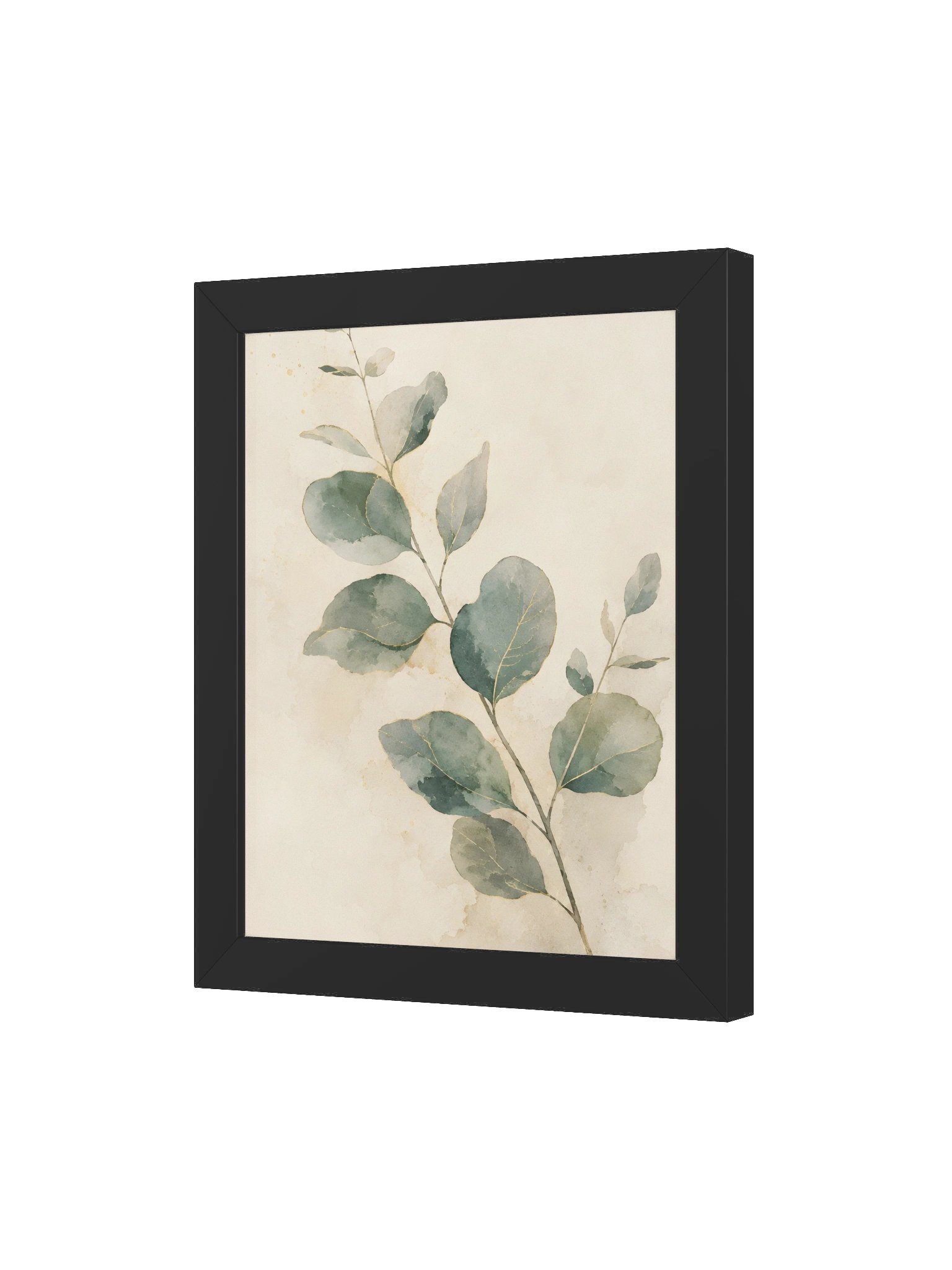 Emerald Eucalyptus product image (9)
