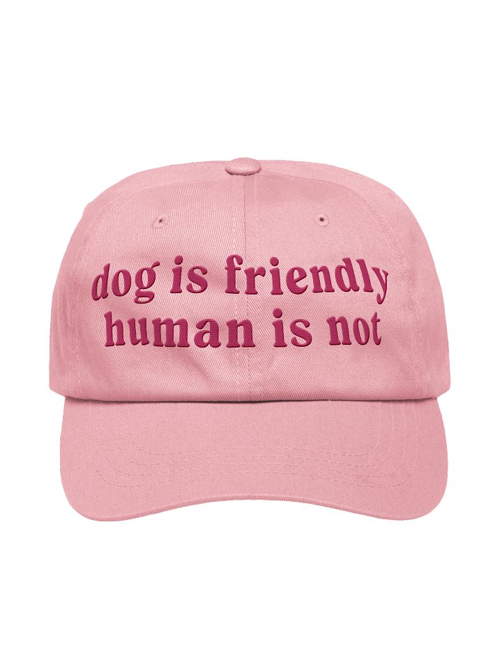 Dog Is Friendly. Human Is Not Classic Dad Hat(Embroidered) Low Contrast(Pink) product image (1)