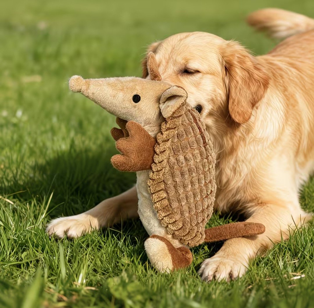 Cute XL Armadillo Durable Dog Chew Toy product image (6)