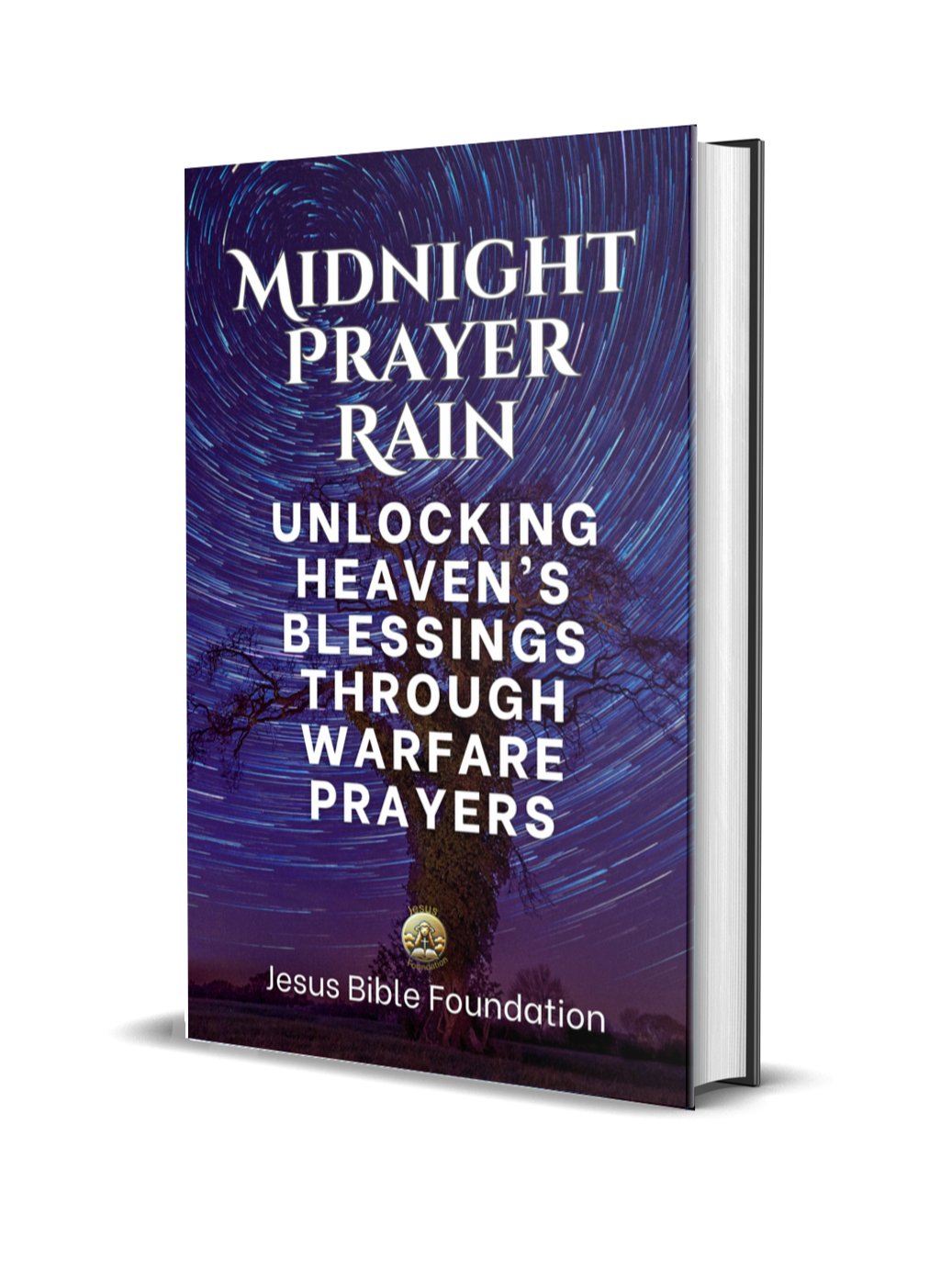 Midnight Prayer Rain: Unlocking Heaven’s Blessings Through Warfare Prayers product image (1)