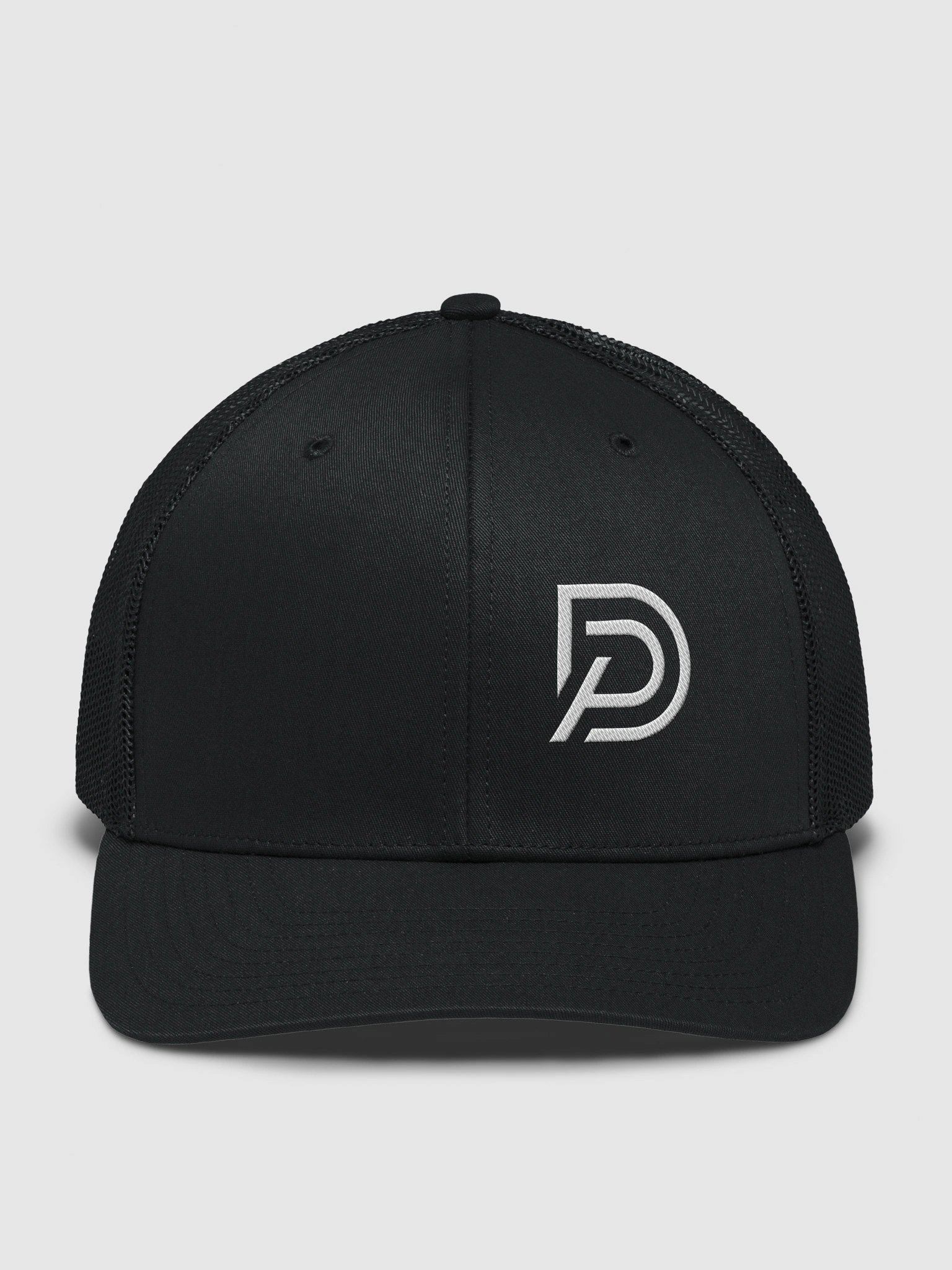 DP Logo Hat product image (40)