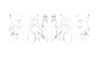 Raeberag's Merch Store