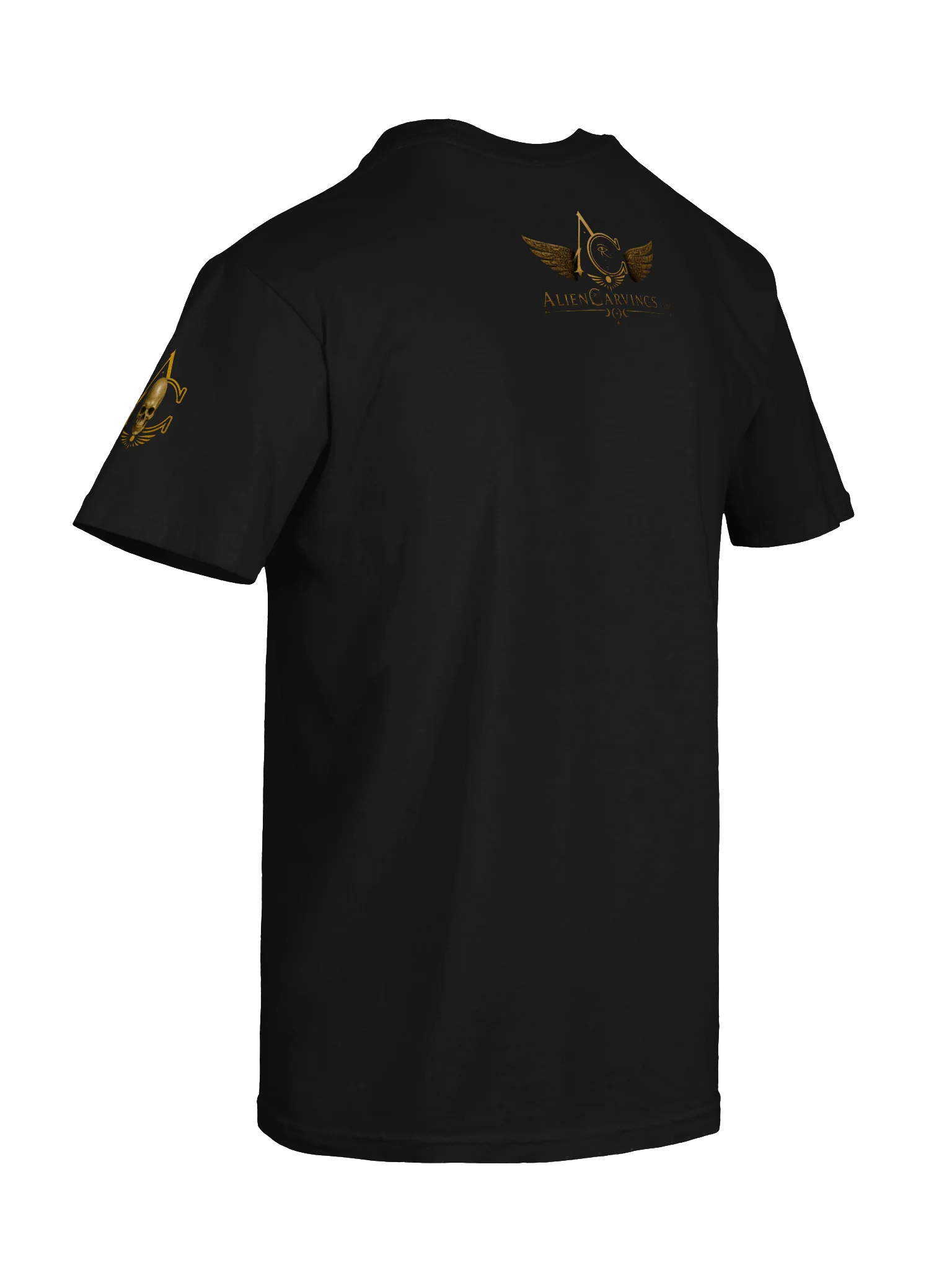 Hall of Records Premium T-Shirt product image (8)
